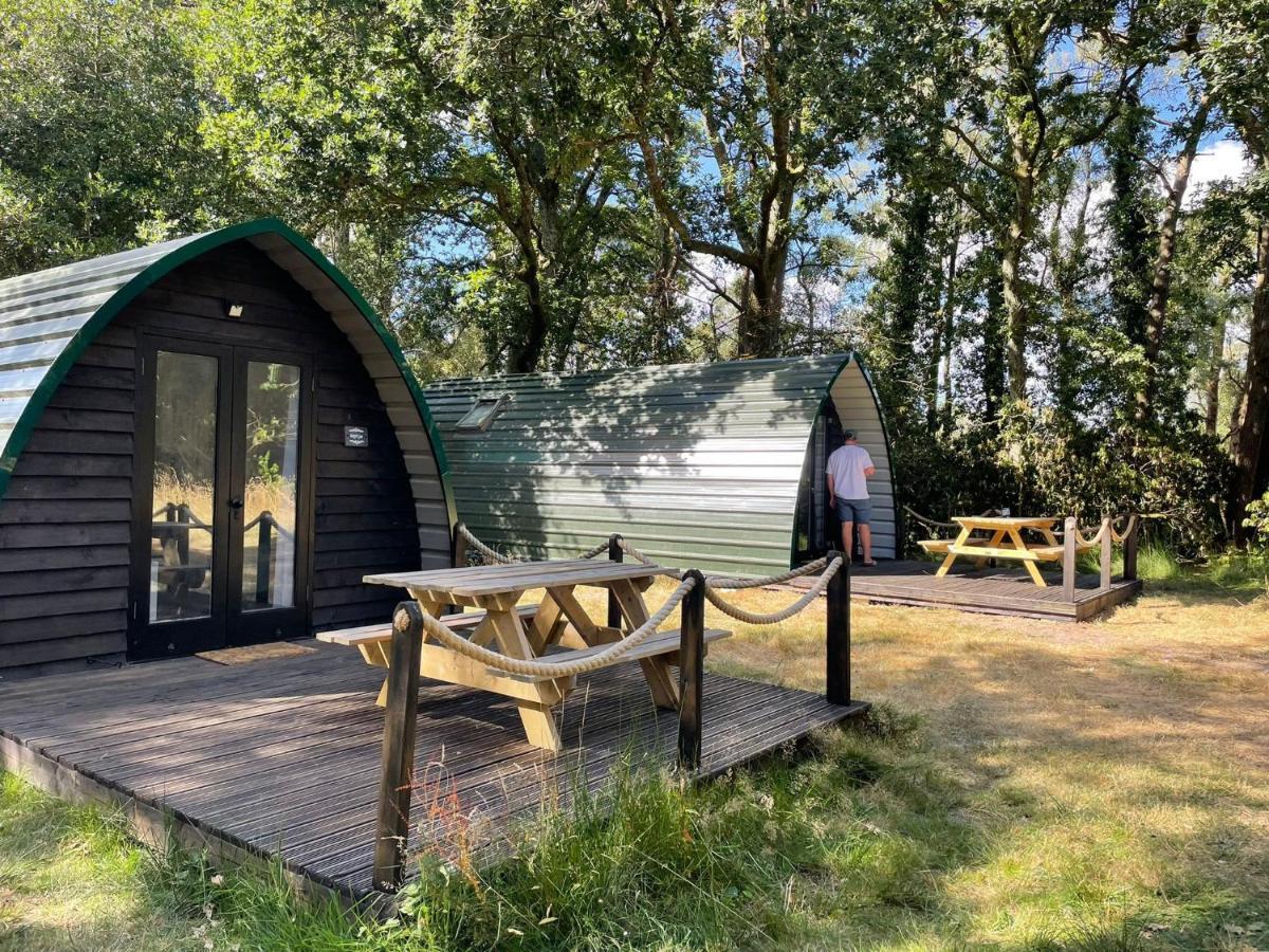 Nightjar Cabin At Cloudshill Glade Wareham Exterior foto